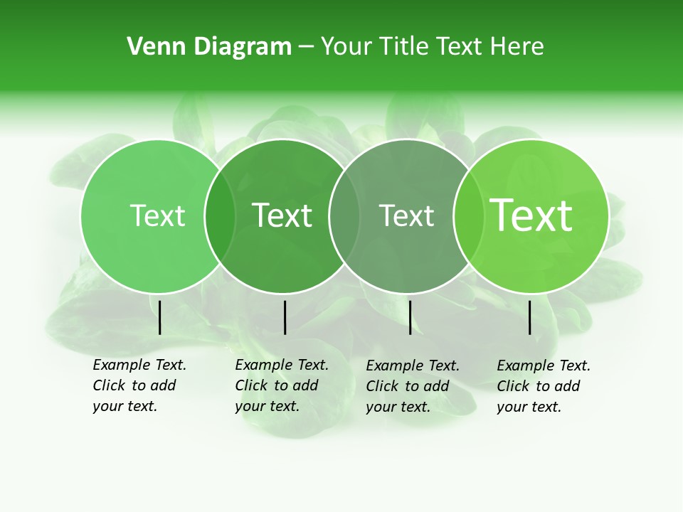 Raw Lettuce Natural PowerPoint Template