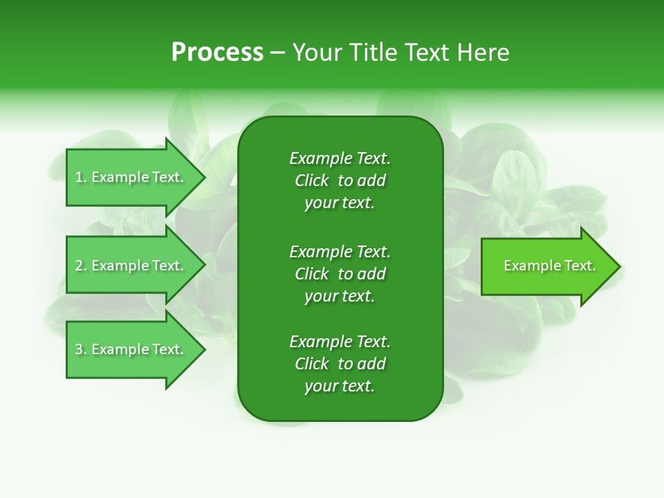 Raw Lettuce Natural PowerPoint Template