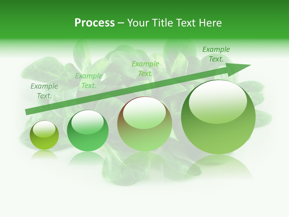 Raw Lettuce Natural PowerPoint Template