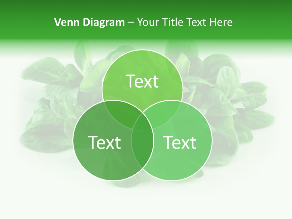 Raw Lettuce Natural PowerPoint Template