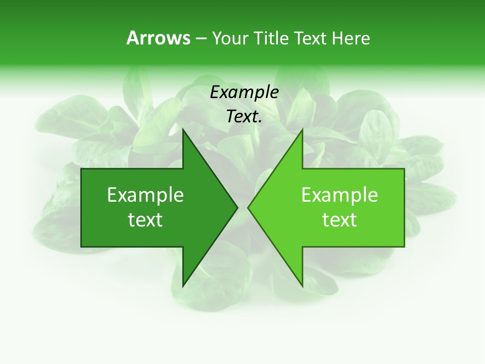 Raw Lettuce Natural PowerPoint Template