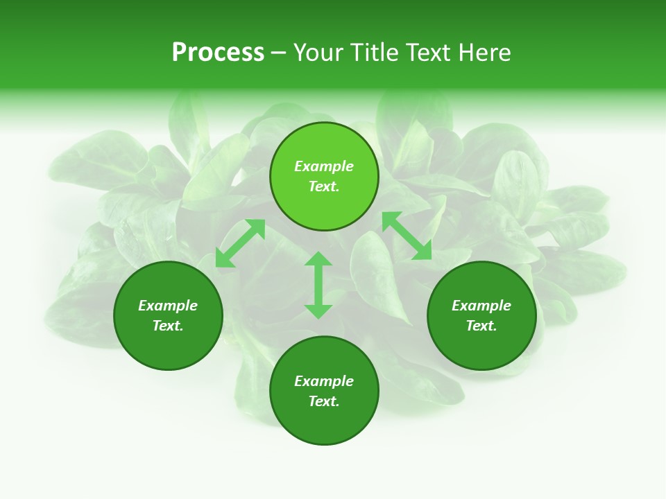 Raw Lettuce Natural PowerPoint Template