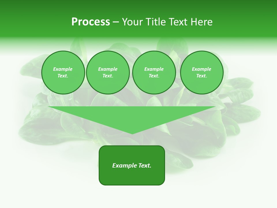 Raw Lettuce Natural PowerPoint Template