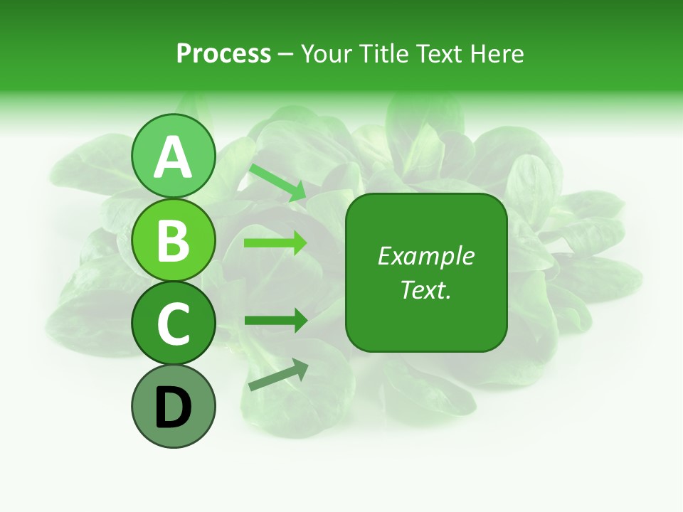 Raw Lettuce Natural PowerPoint Template