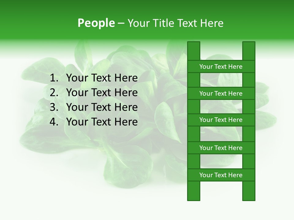 Raw Lettuce Natural PowerPoint Template