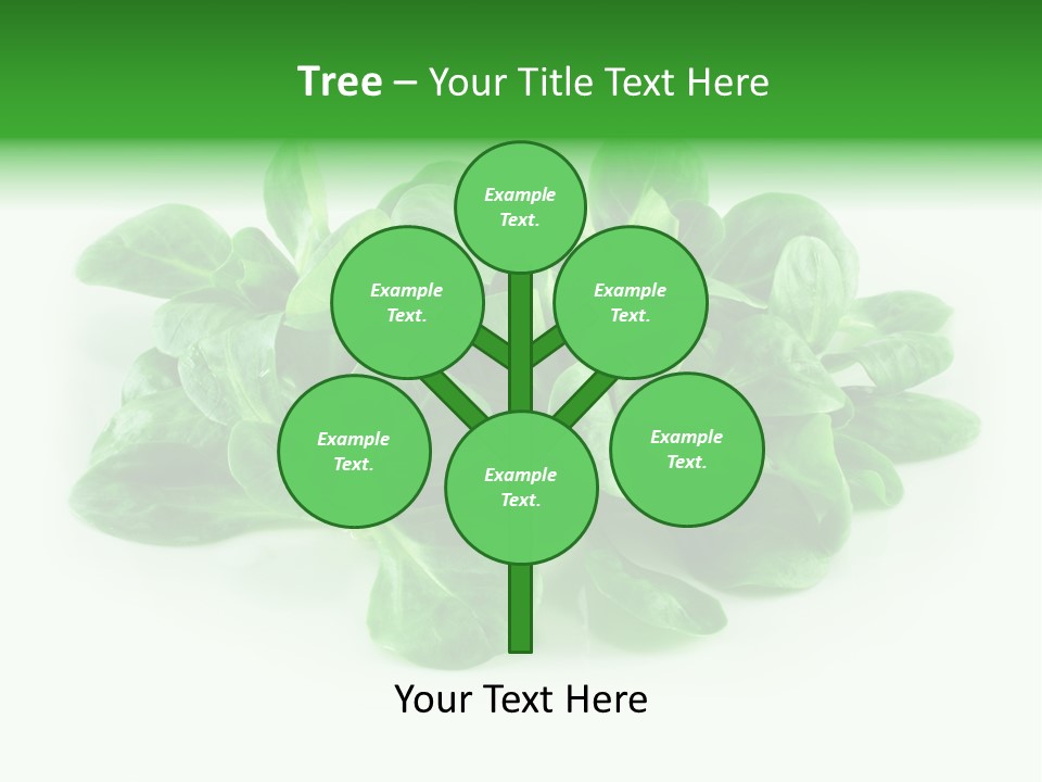 Raw Lettuce Natural PowerPoint Template