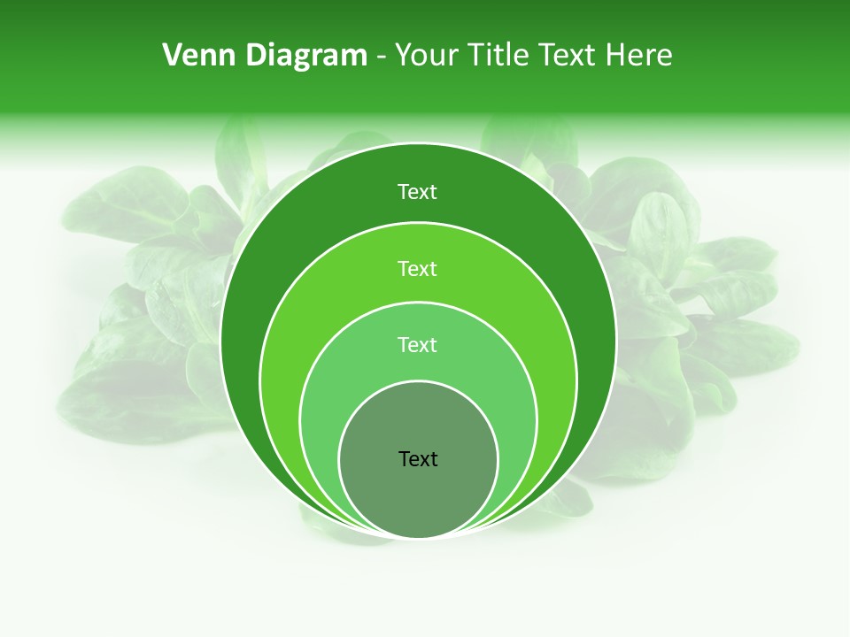 Raw Lettuce Natural PowerPoint Template