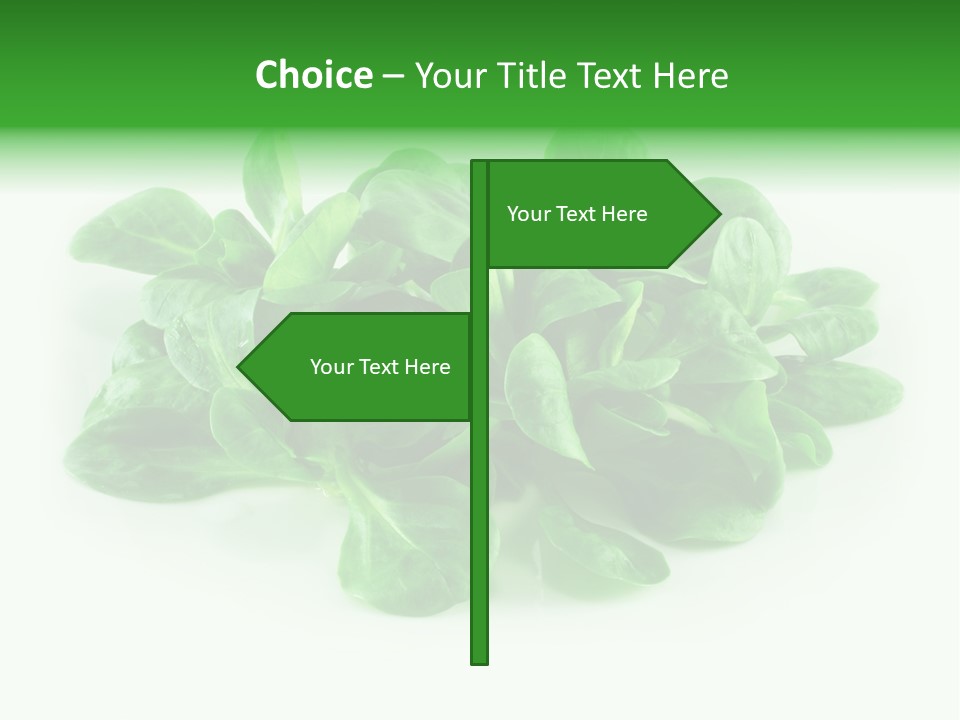 Raw Lettuce Natural PowerPoint Template