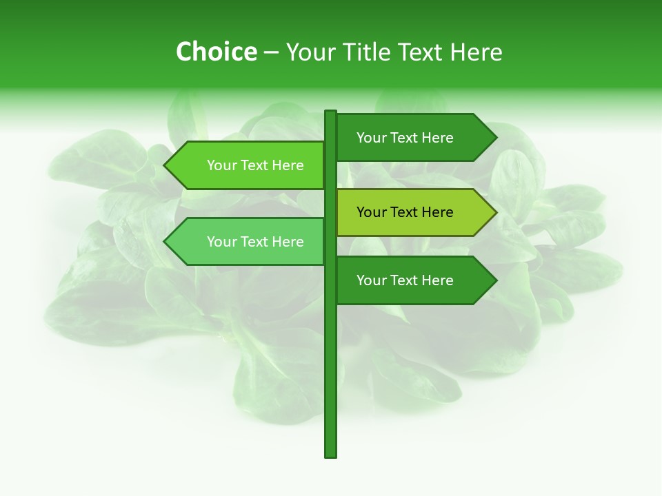 Raw Lettuce Natural PowerPoint Template