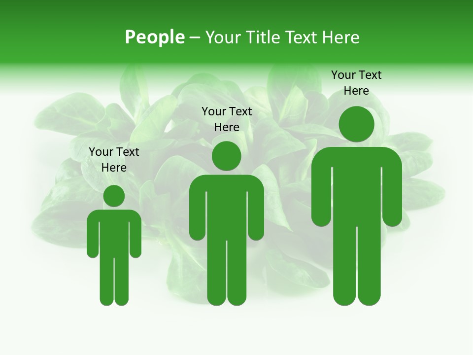 Raw Lettuce Natural PowerPoint Template
