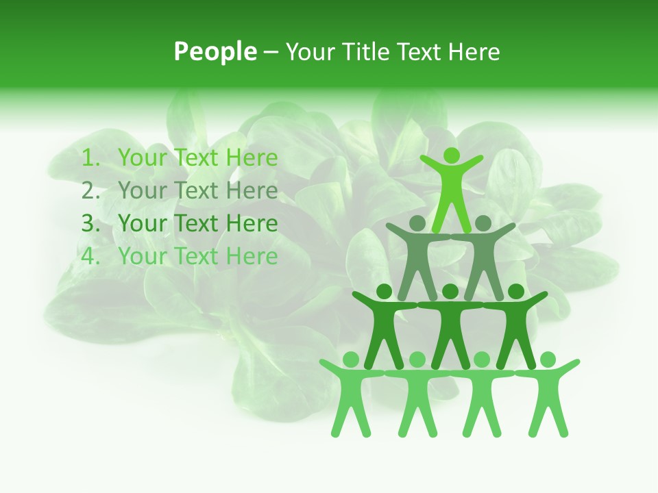 Raw Lettuce Natural PowerPoint Template