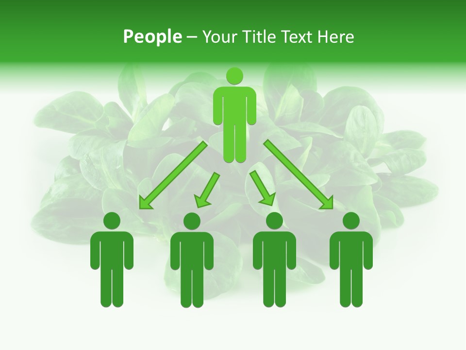 Raw Lettuce Natural PowerPoint Template