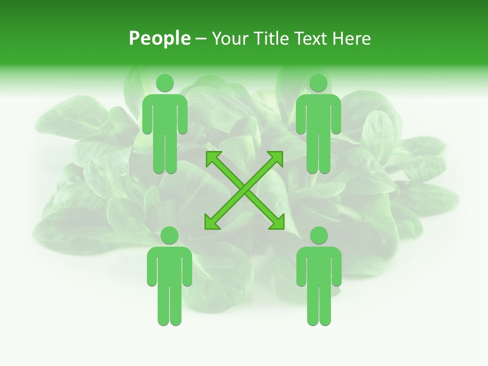 Raw Lettuce Natural PowerPoint Template