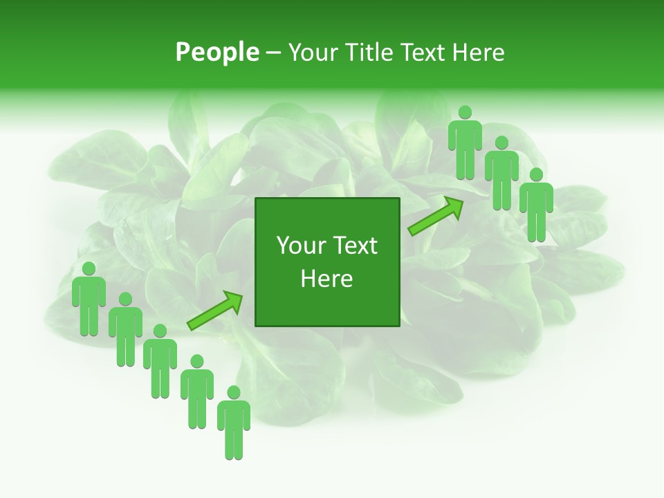 Raw Lettuce Natural PowerPoint Template