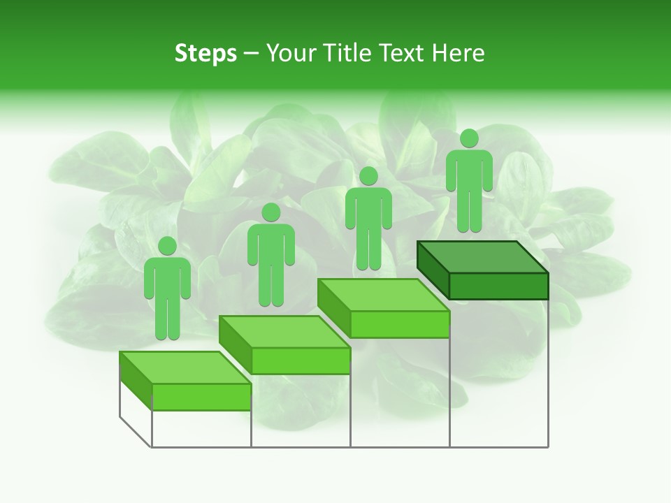 Raw Lettuce Natural PowerPoint Template