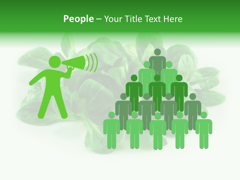 Raw Lettuce Natural PowerPoint Template