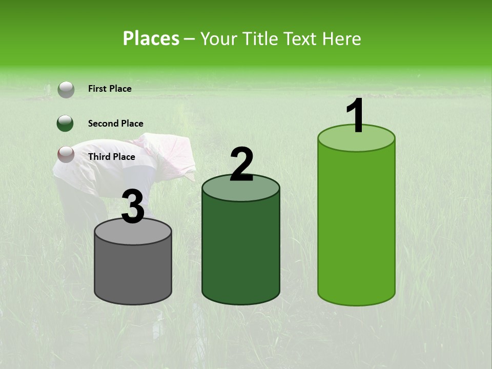 Food Countryside Farmer PowerPoint Template