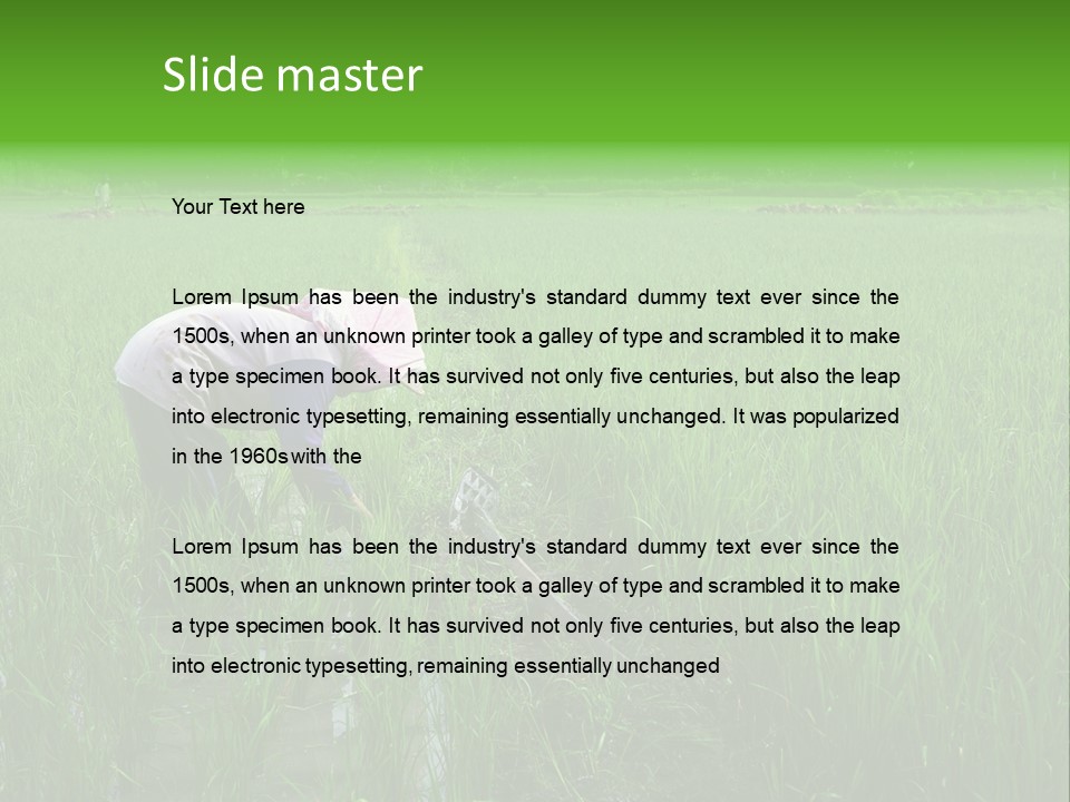 Food Countryside Farmer PowerPoint Template