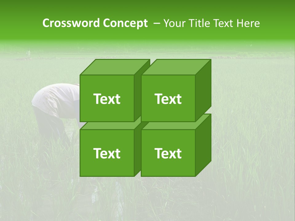 Food Countryside Farmer PowerPoint Template