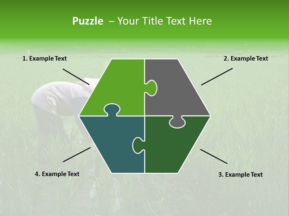 Food Countryside Farmer PowerPoint Template