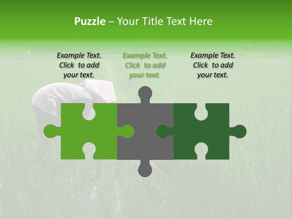 Food Countryside Farmer PowerPoint Template