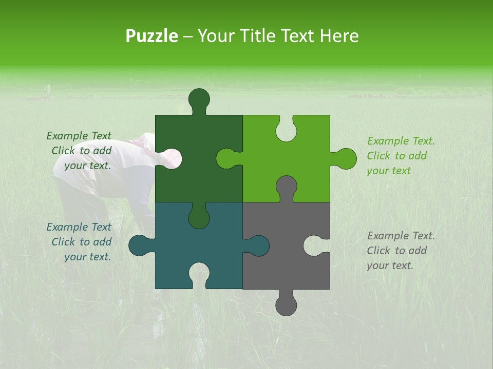 Food Countryside Farmer PowerPoint Template