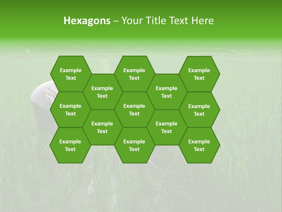 Food Countryside Farmer PowerPoint Template