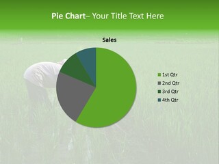 Food Countryside Farmer PowerPoint Template