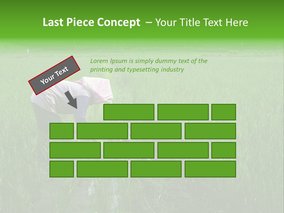 Food Countryside Farmer PowerPoint Template