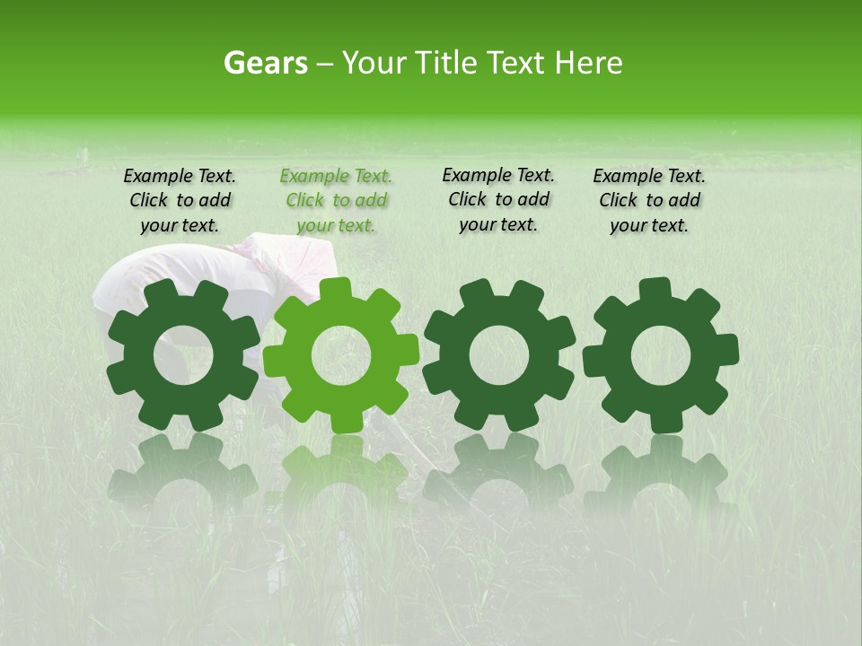 Food Countryside Farmer PowerPoint Template