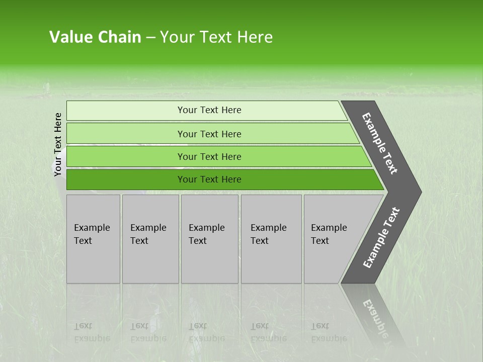Food Countryside Farmer PowerPoint Template