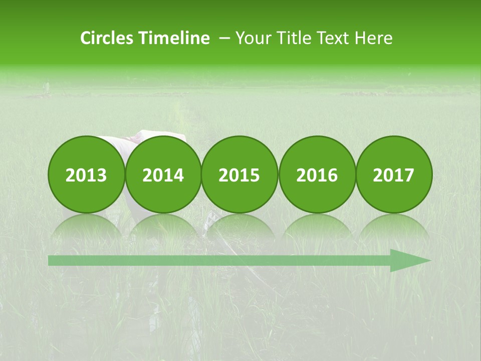 Food Countryside Farmer PowerPoint Template