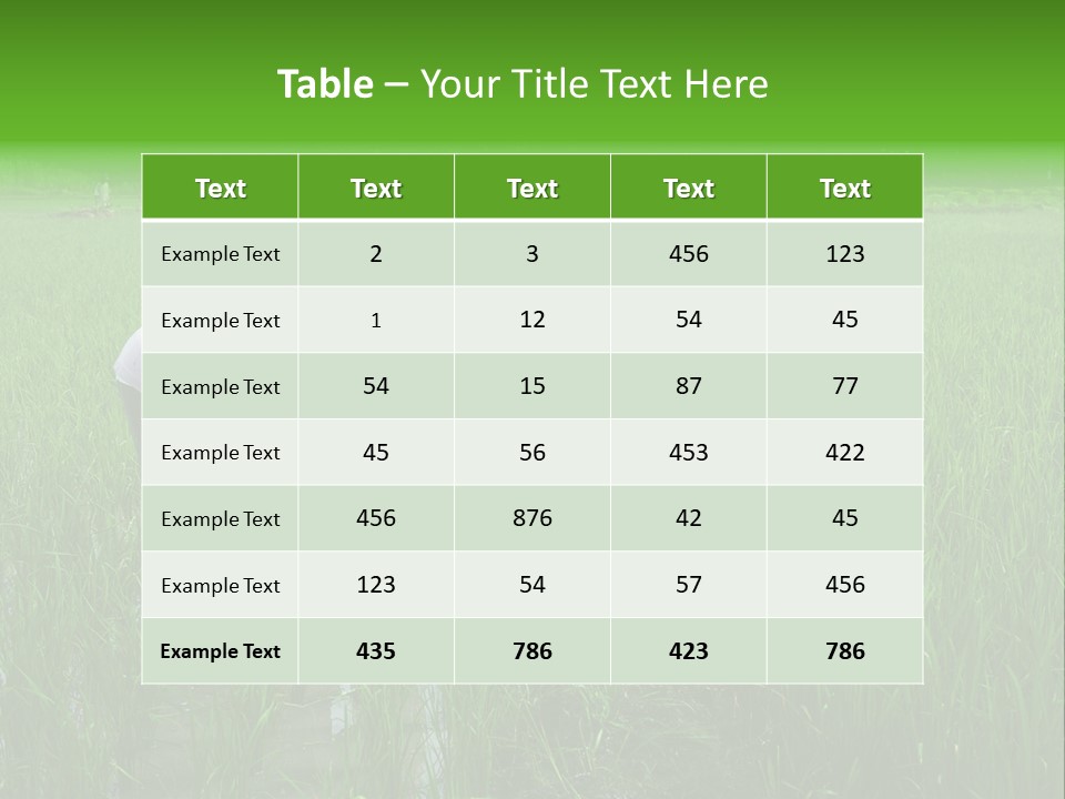 Food Countryside Farmer PowerPoint Template