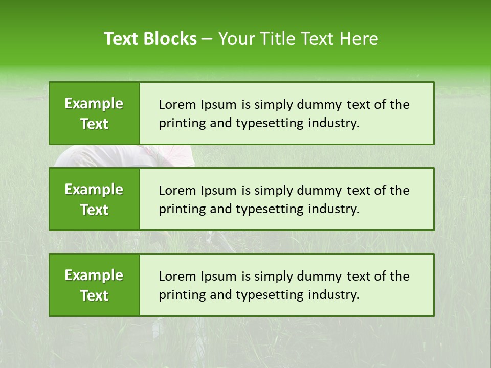 Food Countryside Farmer PowerPoint Template