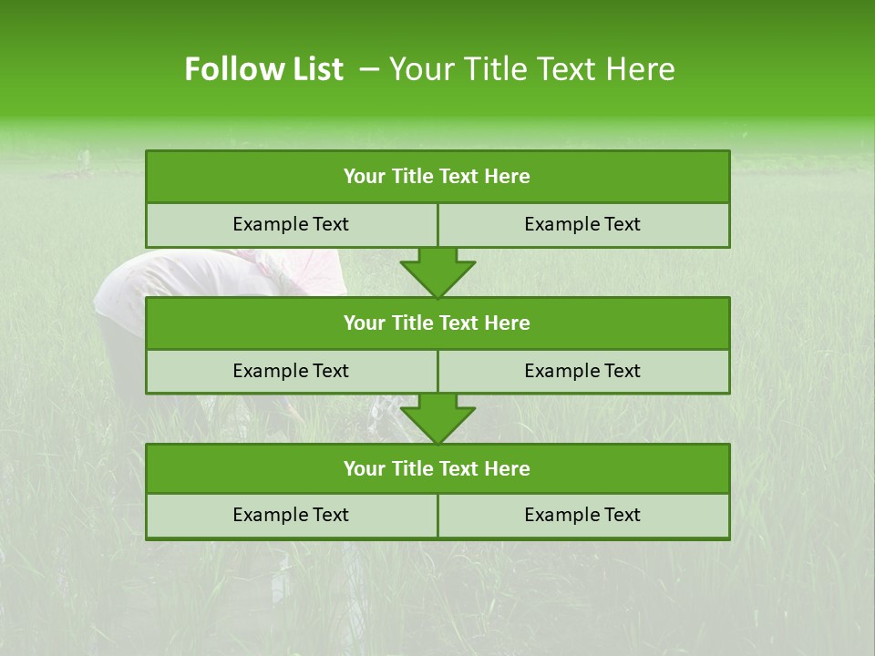Food Countryside Farmer PowerPoint Template