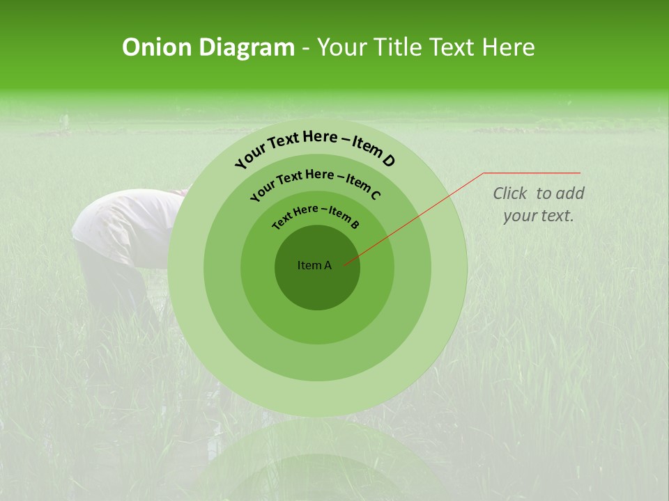 Food Countryside Farmer PowerPoint Template