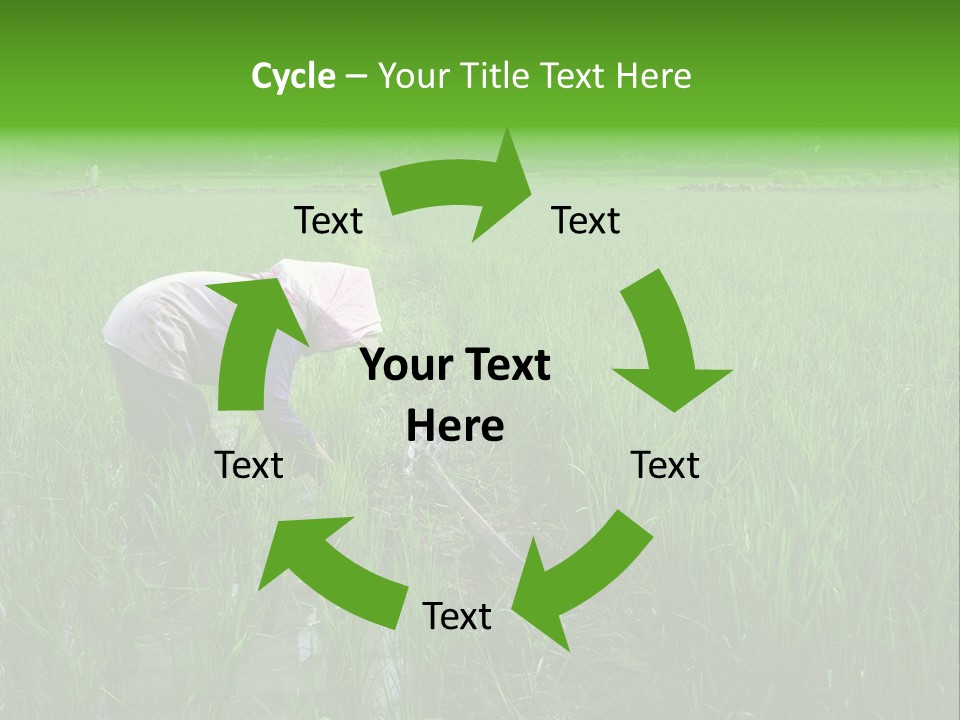 Food Countryside Farmer PowerPoint Template