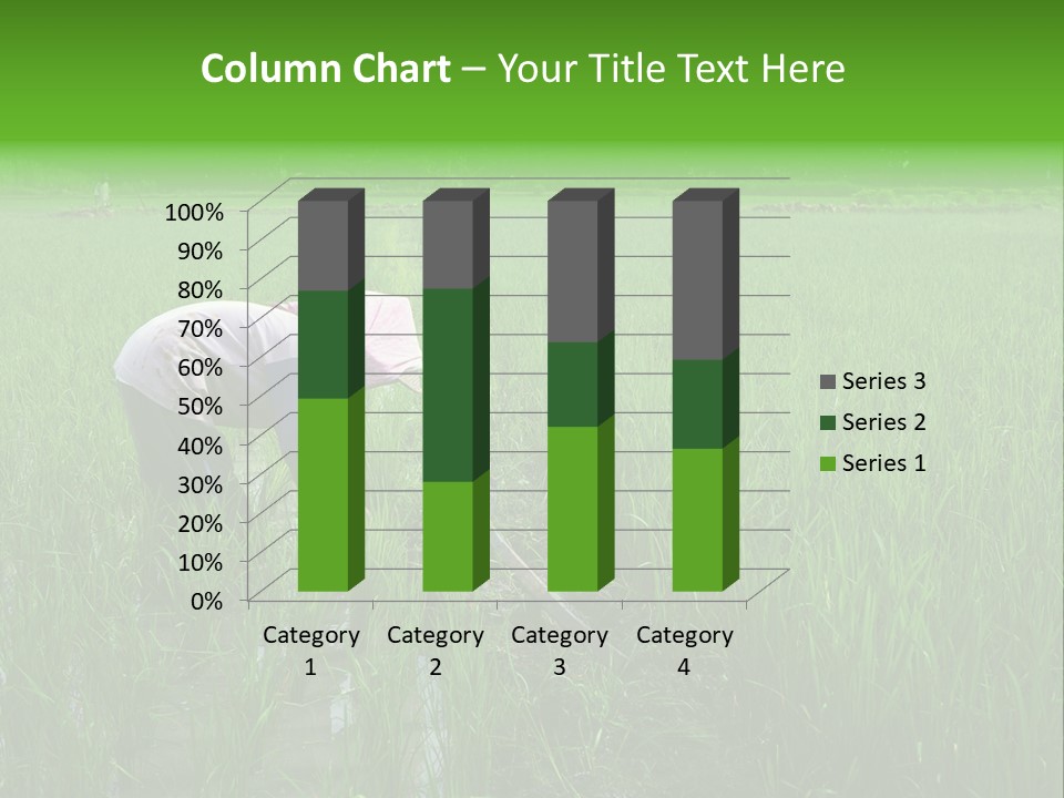 Food Countryside Farmer PowerPoint Template