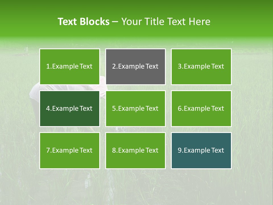 Food Countryside Farmer PowerPoint Template