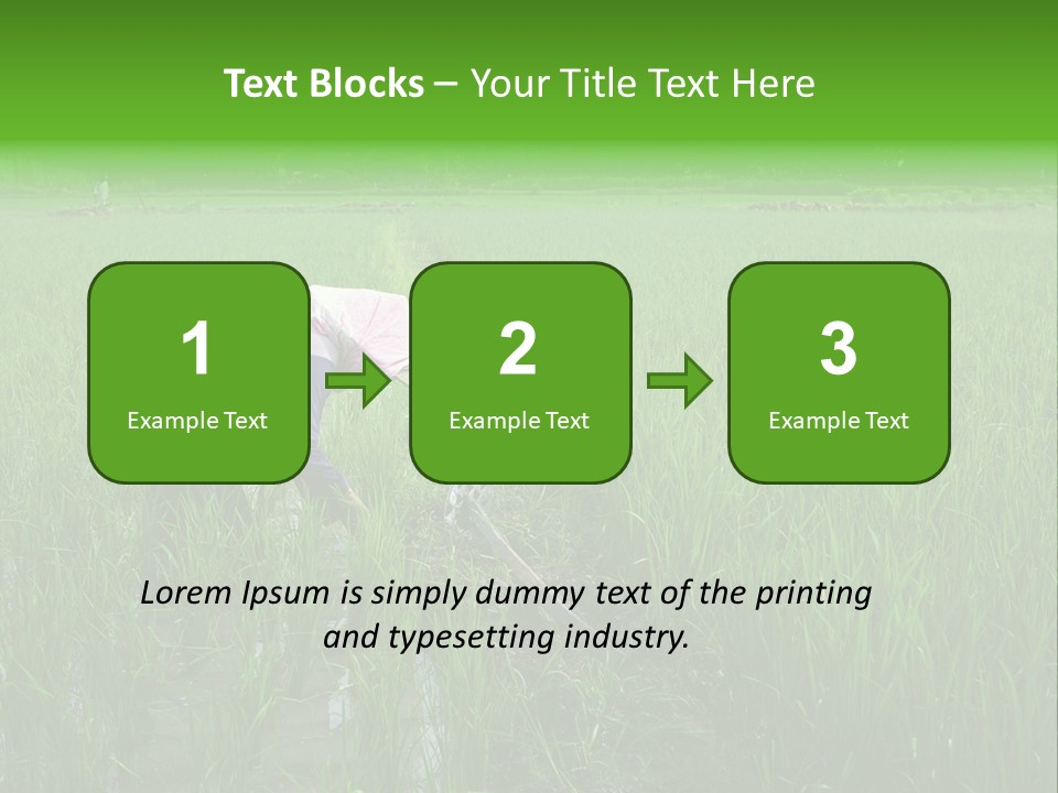 Food Countryside Farmer PowerPoint Template