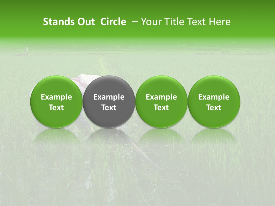 Food Countryside Farmer PowerPoint Template