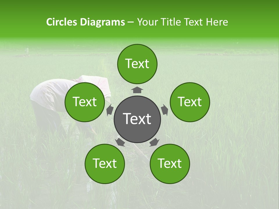 Food Countryside Farmer PowerPoint Template