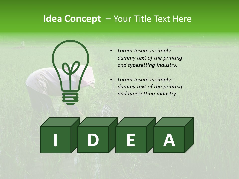 Food Countryside Farmer PowerPoint Template