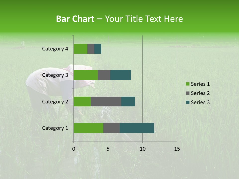 Food Countryside Farmer PowerPoint Template