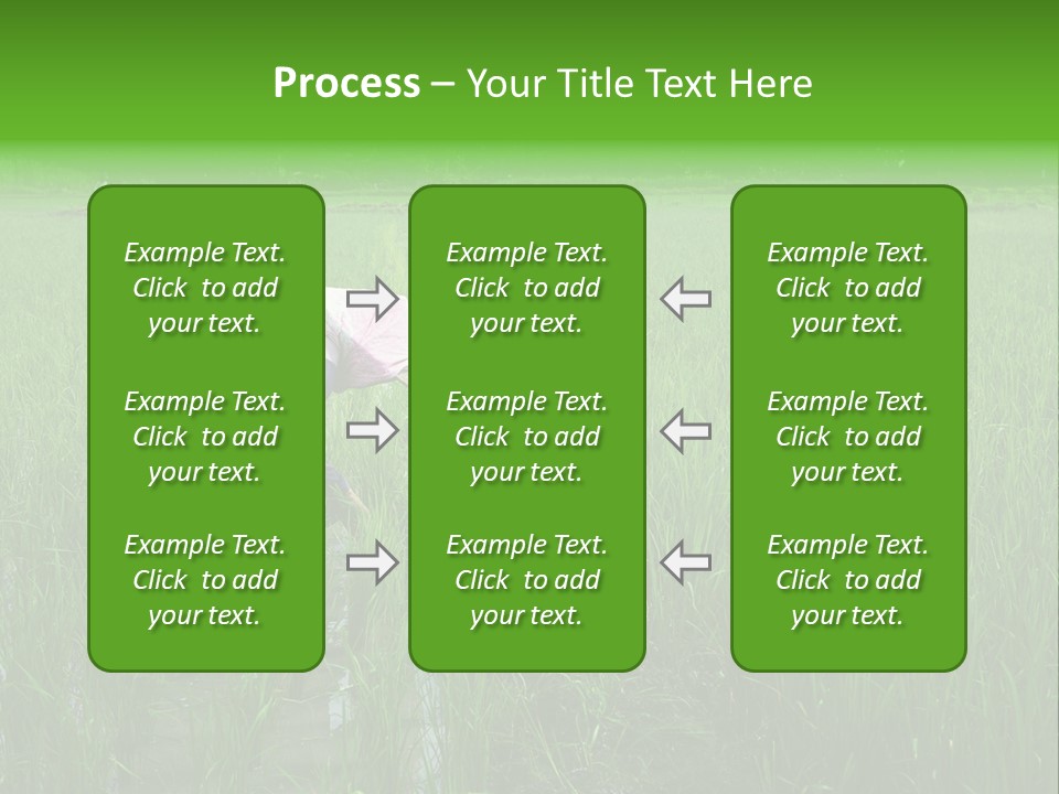 Food Countryside Farmer PowerPoint Template