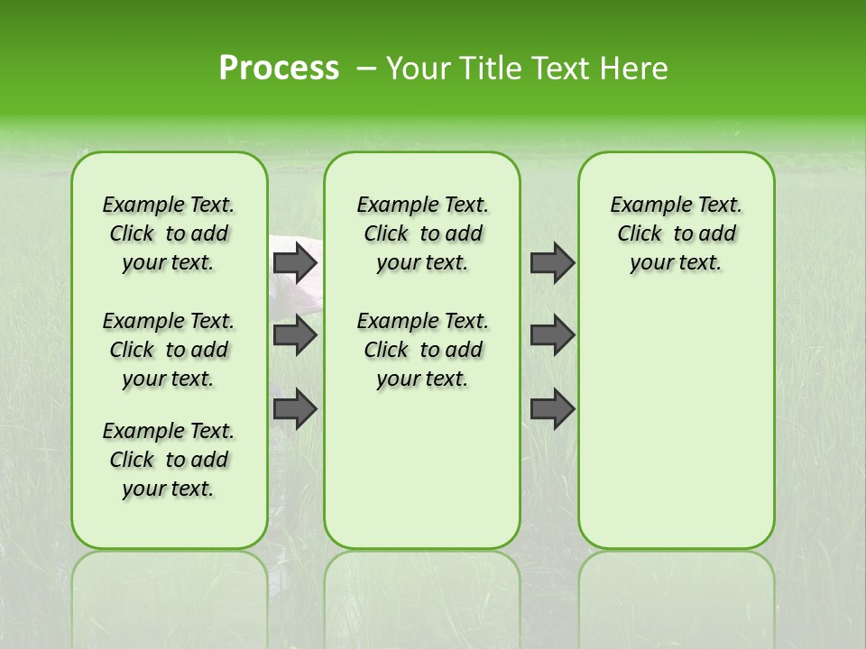 Food Countryside Farmer PowerPoint Template