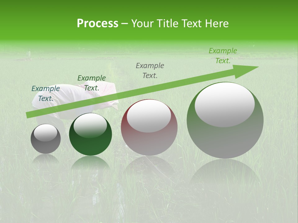 Food Countryside Farmer PowerPoint Template