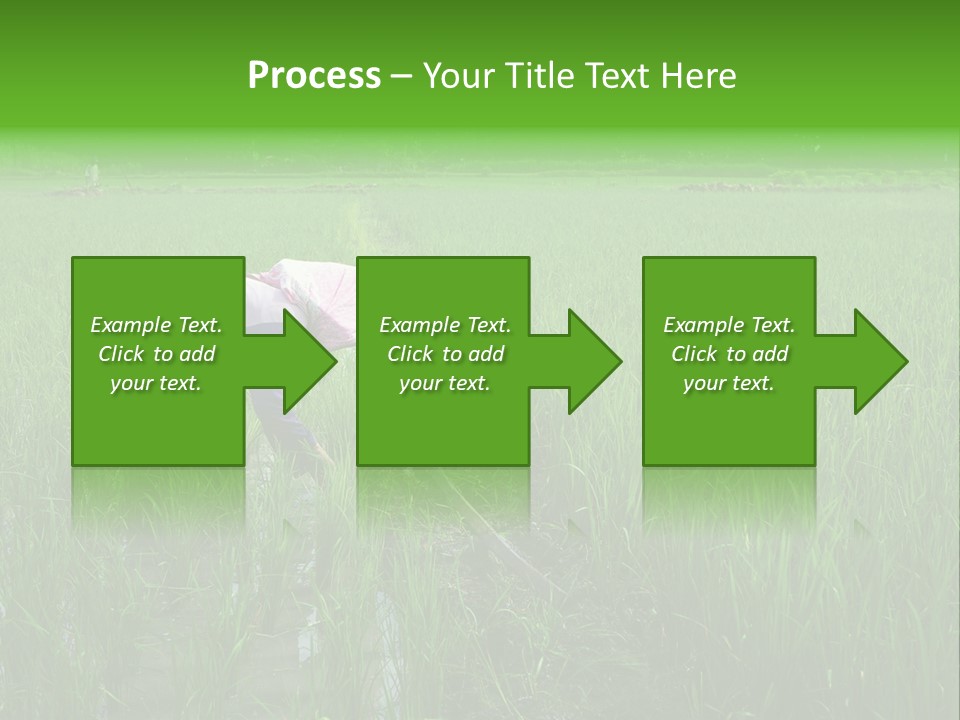 Food Countryside Farmer PowerPoint Template