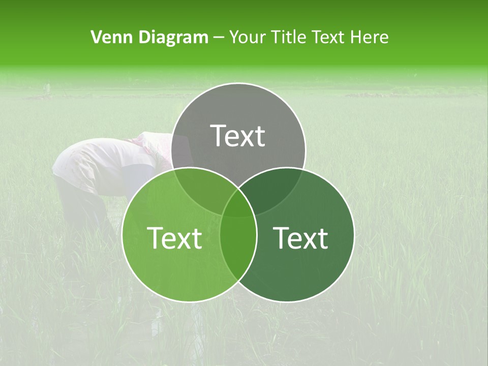 Food Countryside Farmer PowerPoint Template