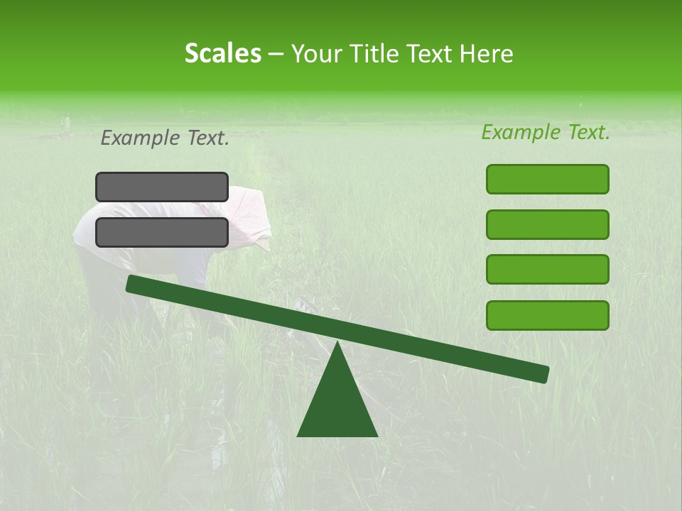 Food Countryside Farmer PowerPoint Template